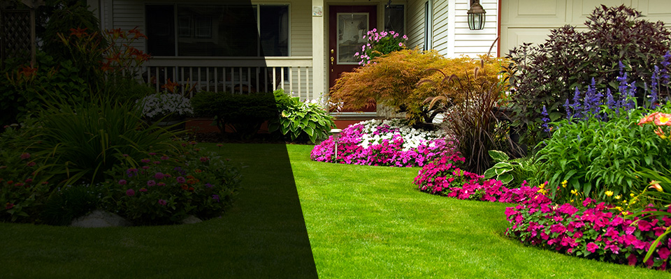 George West Landscapers