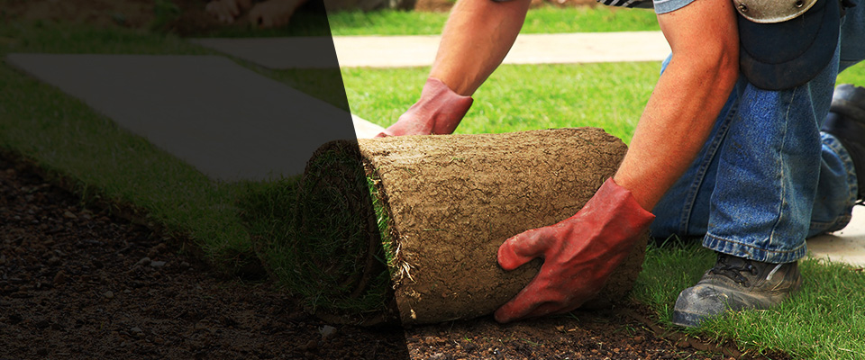 George West Landscapers